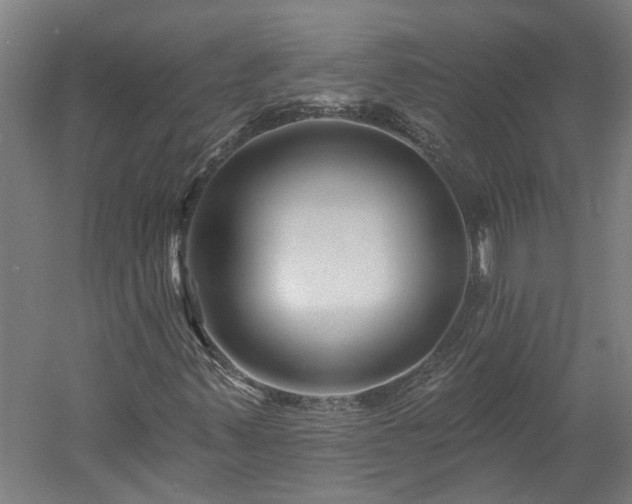 X0000060221347200510281057