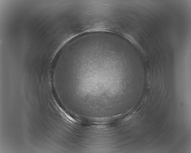 X0000060221356200510281057