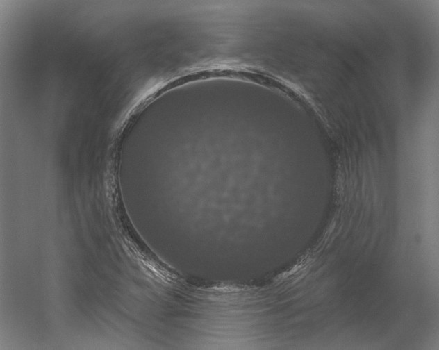 X0000060221359200510281057