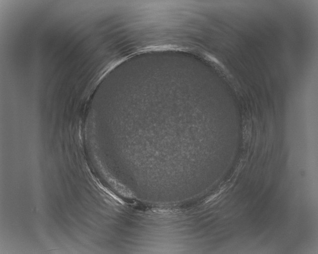 X0000060221361200510281057