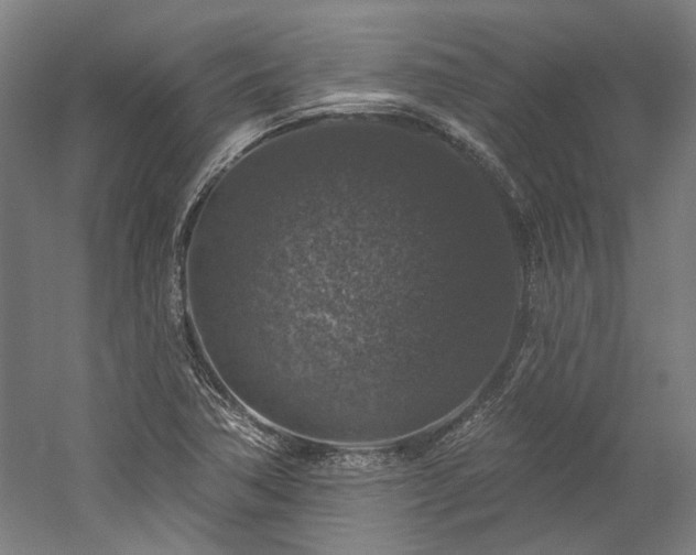 X0000060221362200510281057