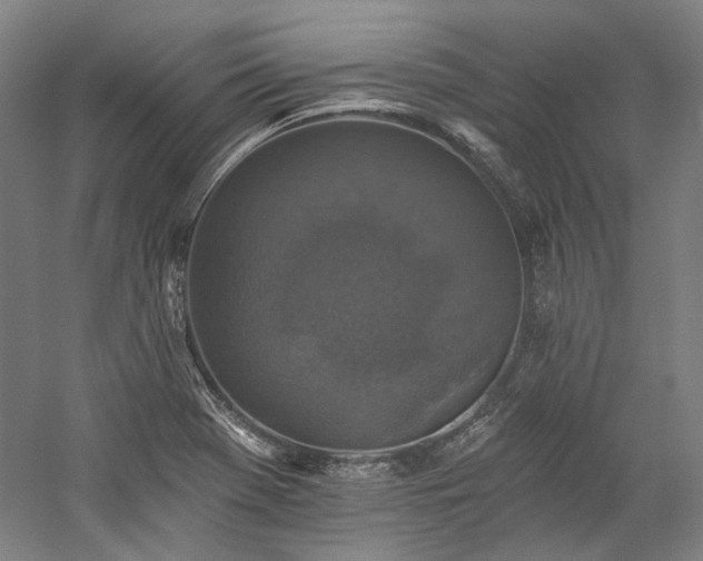X0000060221369200510281057