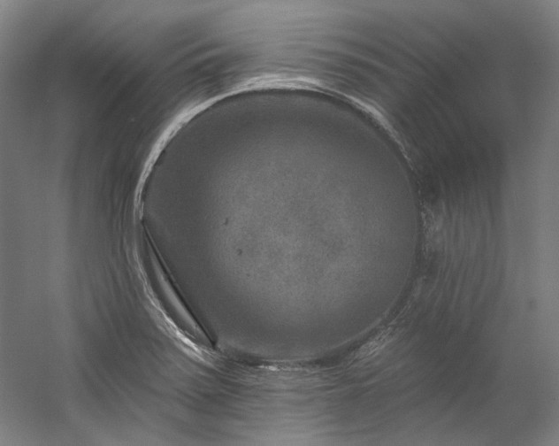 X0000060221371200510281057