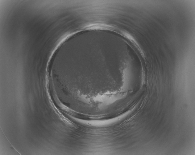 X0000060221376200510281057