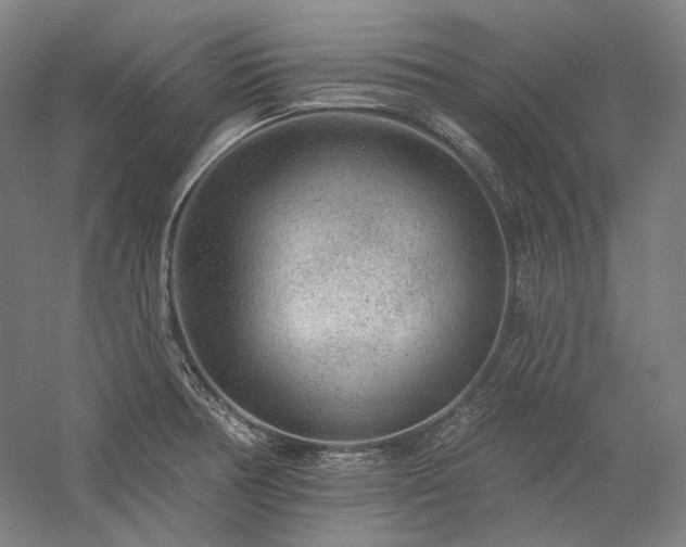 X0000060221378200510281056