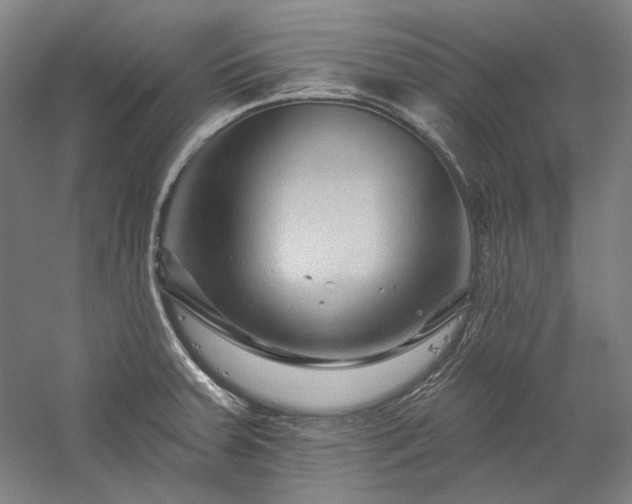 X0000060221379200510281056