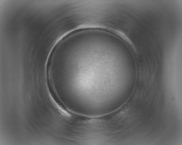 X0000060221380200510281056