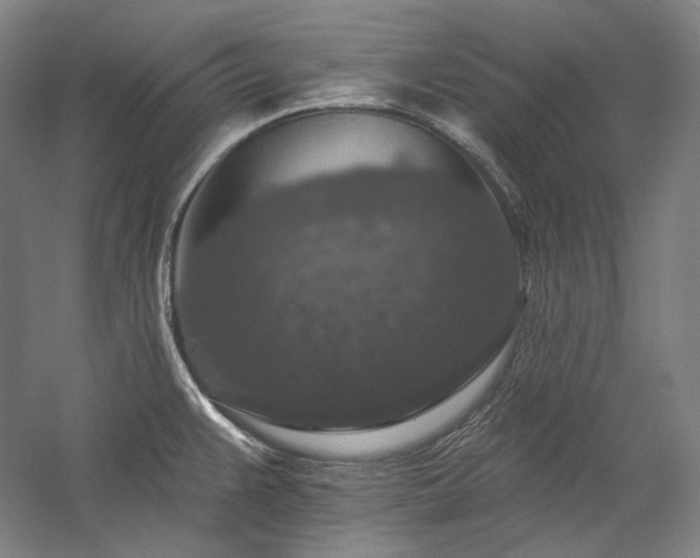 X0000060221383200510281056
