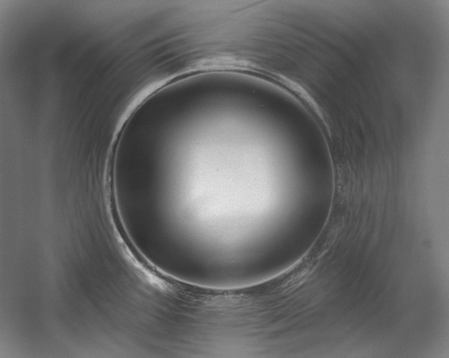 X0000060221387200510281056