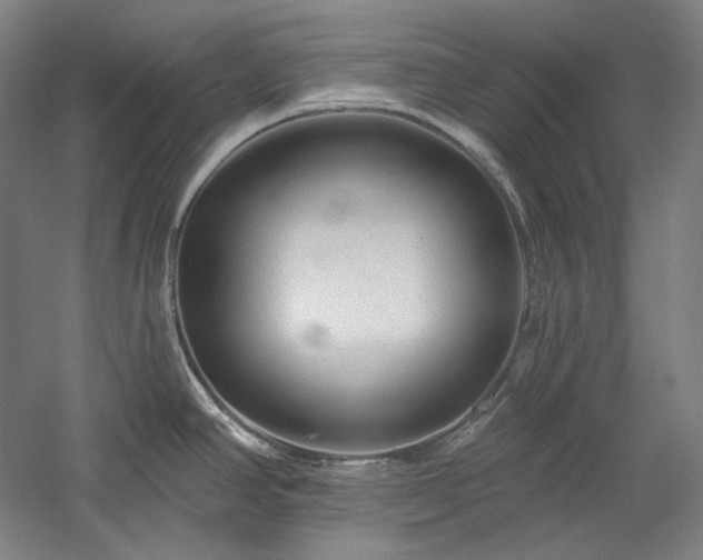 X0000060221390200510281056