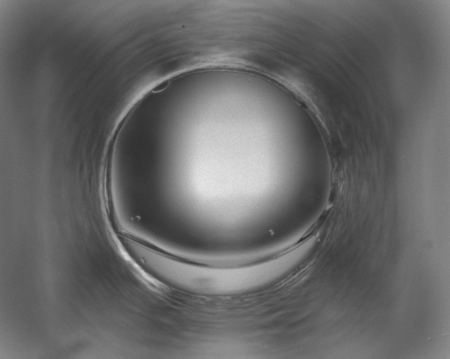 X0000060221391200510281056