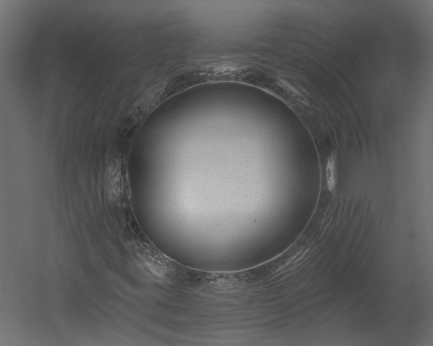 X0000060221395200510281055
