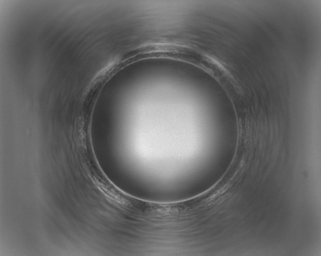 X0000060221403200510281056