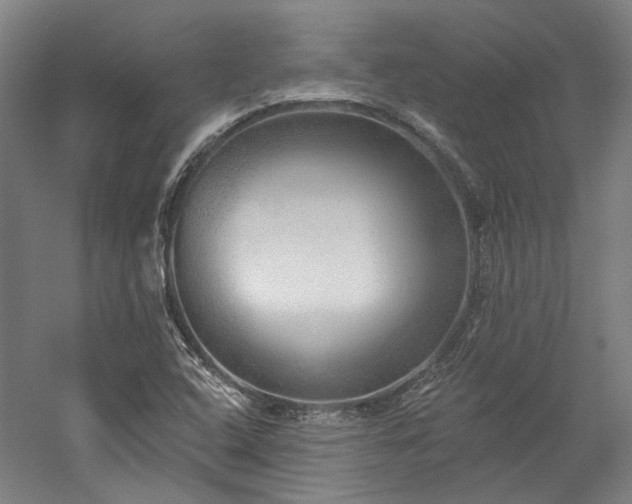 X0000060221408200510281056