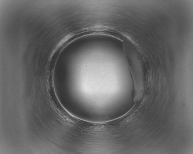 X0000060221410200510281056