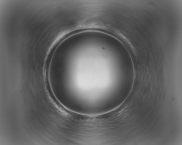 X0000060221416200510281056