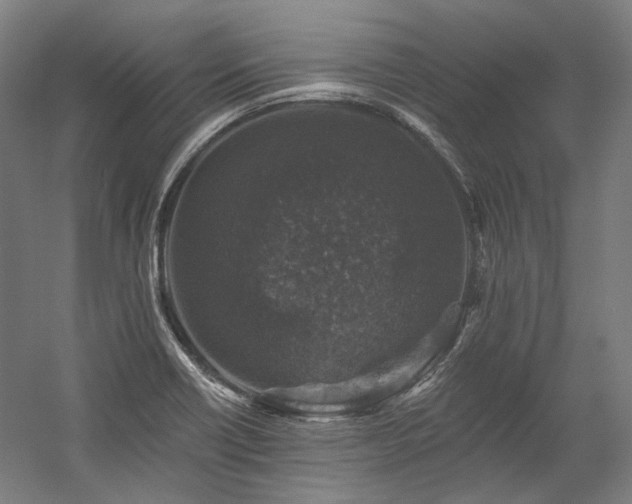 X0000060221418200510281056