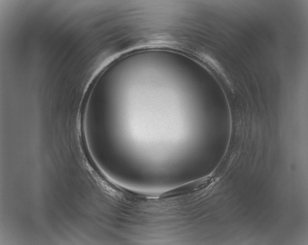 X0000060221420200510281056