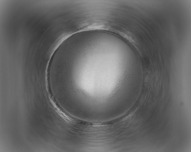 X0000060221423200510281056