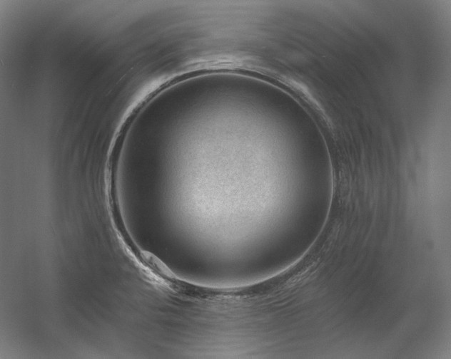 X0000060221424200510281056