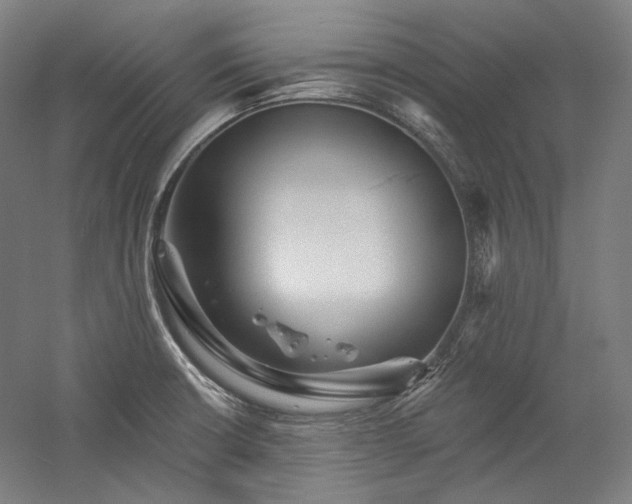 X0000060221426200510281056