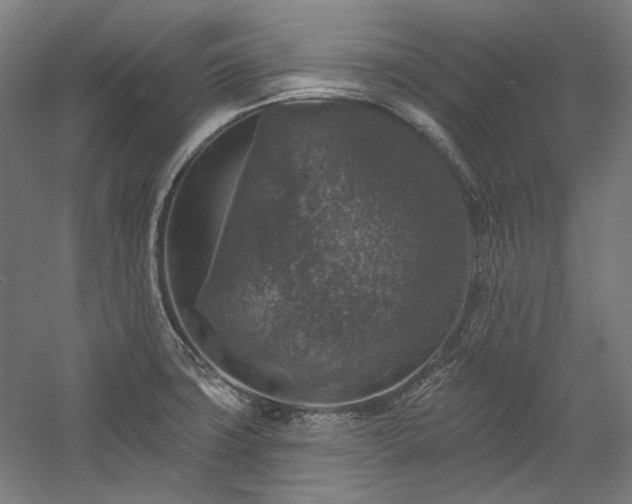 X0000060221427200510281056