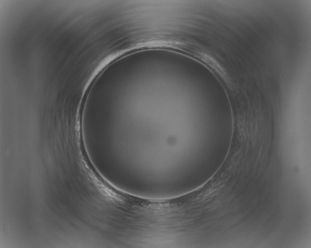 X0000060221428200510281056