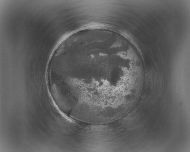 X0000060221429200510281056