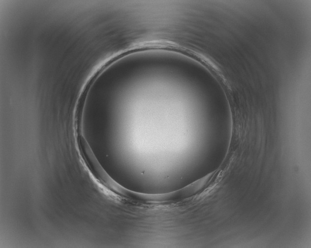 X0000060221430200510281056