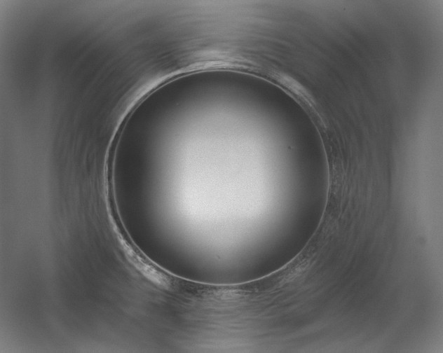 X0000060221431200510281056