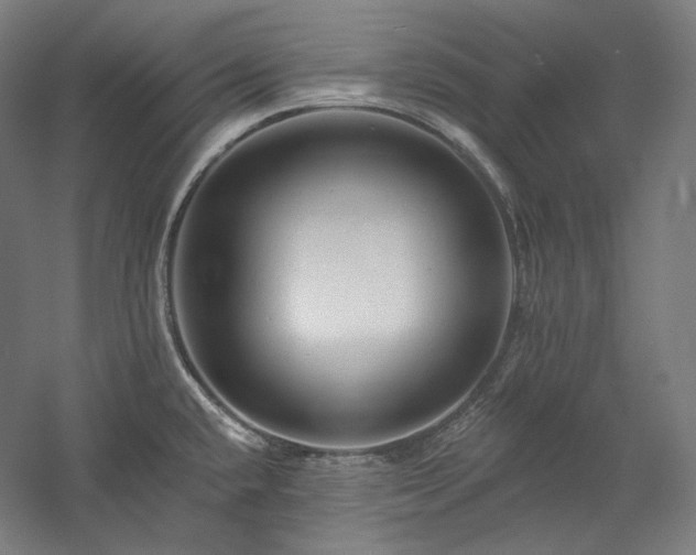 X0000060221432200510281056