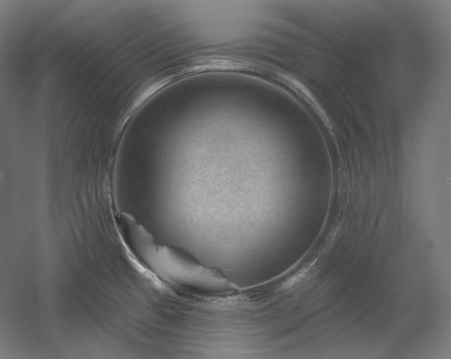 X0000060221433200510281056