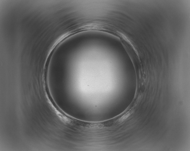 X0000060221434200510281056
