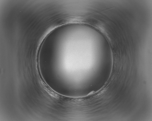 X0000060221435200510281056