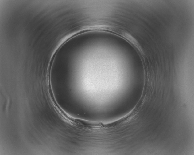 X0000060221436200510281056