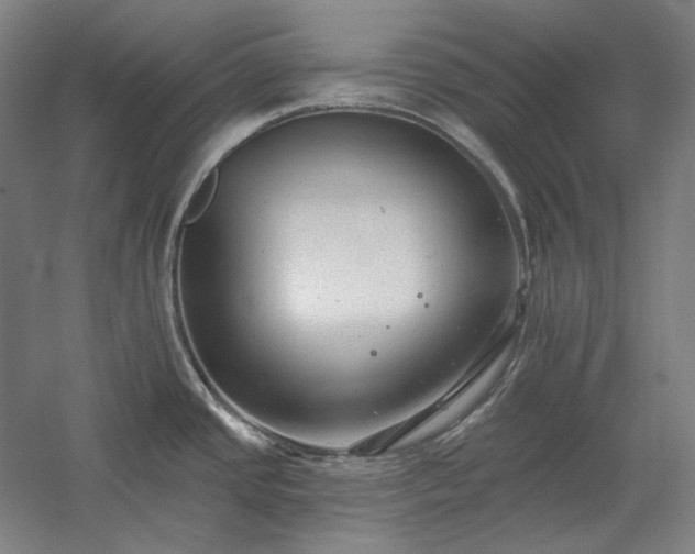 X0000060221437200510281056