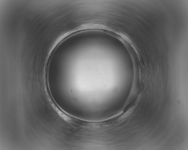 X0000060221438200510281056