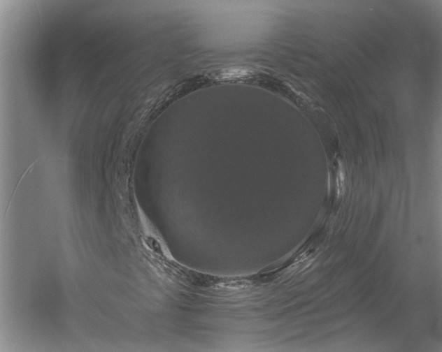 X0000060221441200510281055