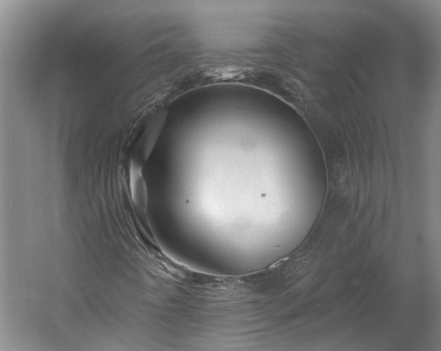 X0000060221442200510281055