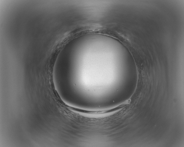 X0000060221447200510281055