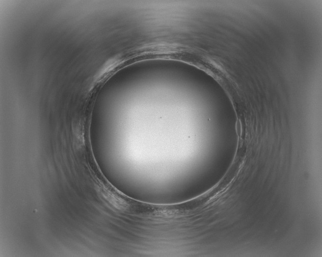 X0000060221451200510281055