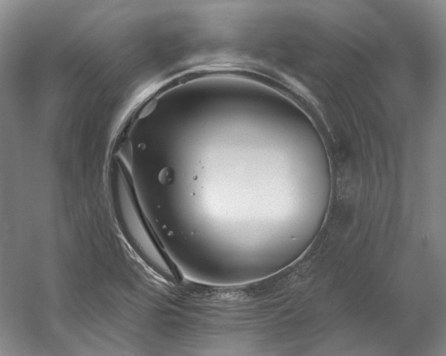 X0000060221464200510281055