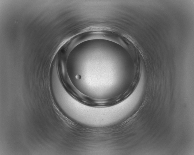 X0000060221465200510281055