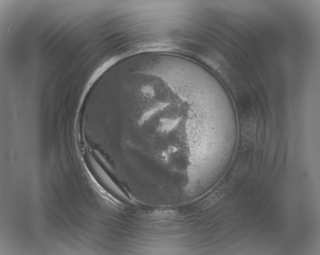 X0000060221466200510281055