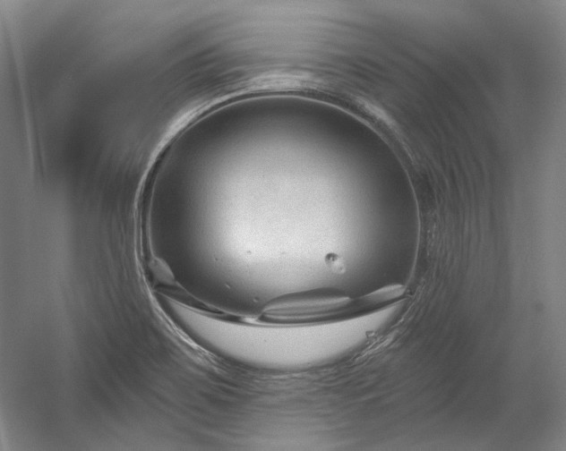 X0000060221467200510281055
