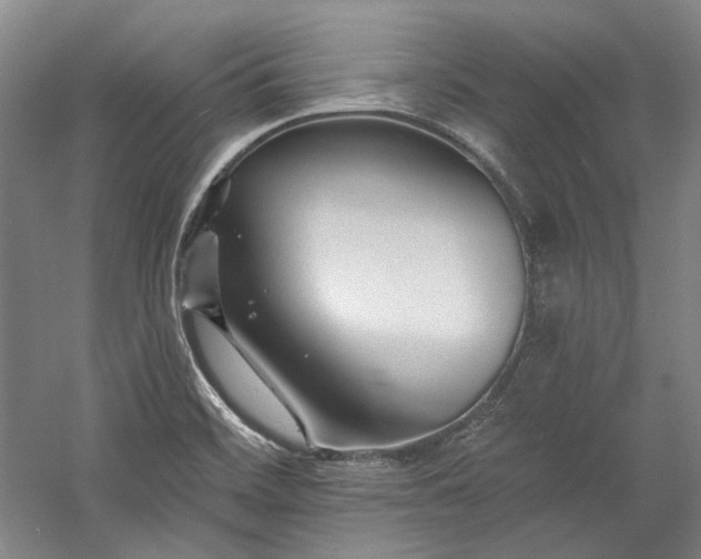 X0000060221468200510281055