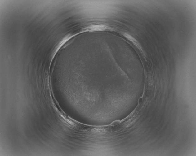 X0000060221473200510281055