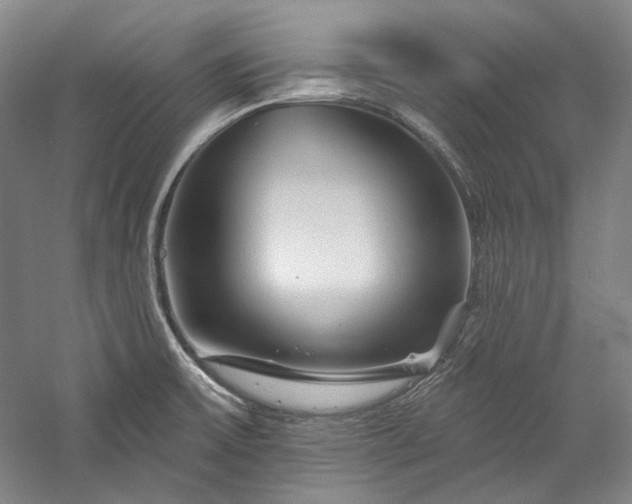 X0000060221475200510281055