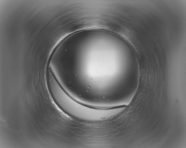 X0000060221476200510281055
