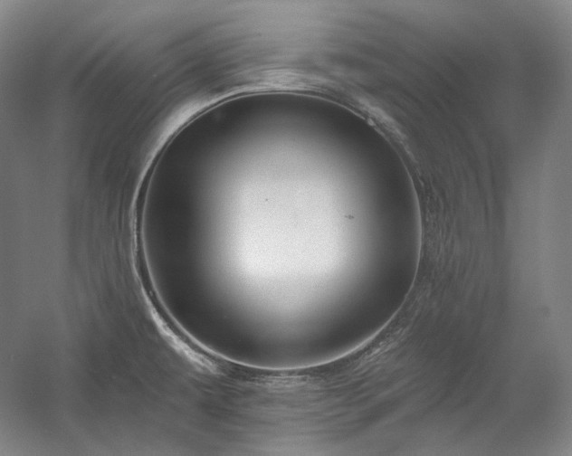 X0000060221479200510281055